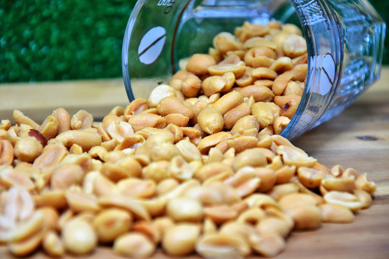 Roasted Peanuts Nutrition