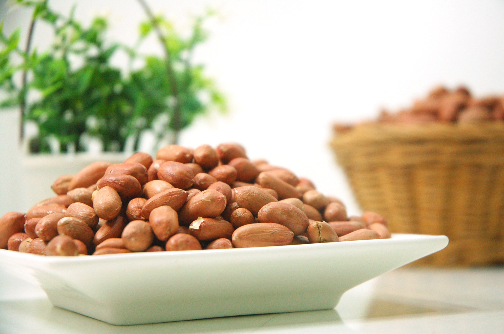 Salted Peanut Nutrition