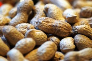 groundnut benefits and disadvantages