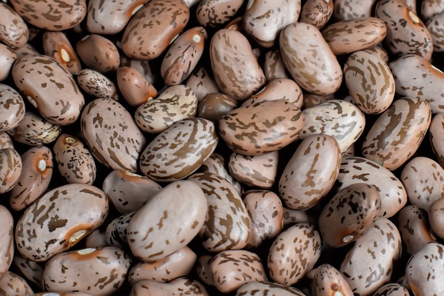 Health benefits of pinto beans